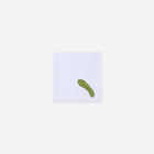 Natura Vegetable Dinner Napkin - Set of 6