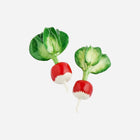 Porcelain Radish
