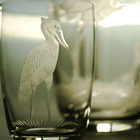 Exotic Birds Tumbler - Set of 4