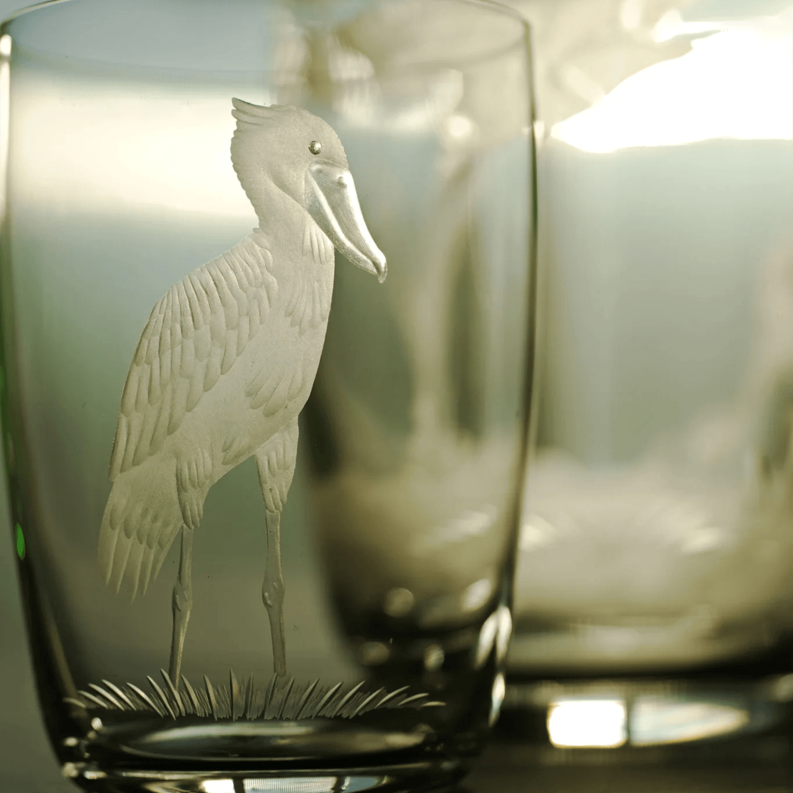 Exotic Birds Tumbler - Set of 4