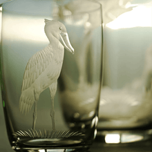 Exotic Birds Tumbler - Set of 4