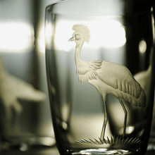Exotic Birds Tumbler - Set of 4