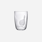 Exotic Birds Tumbler - Set of 4