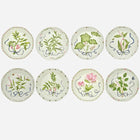 Botanical Tressé Dinner Plate - Set of 8