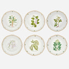 Botanicals Dessert Plate - Set of 6