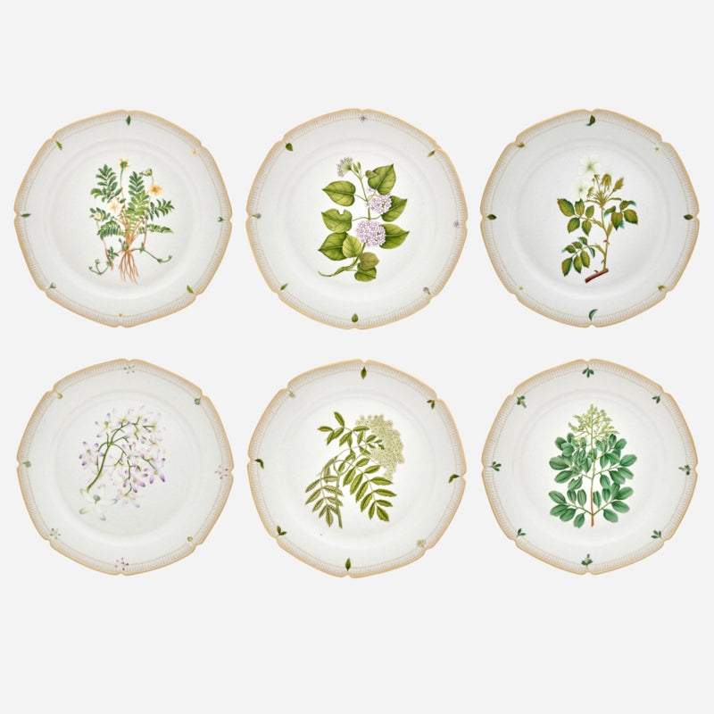 Botanicals Dessert Plate - Set of 6