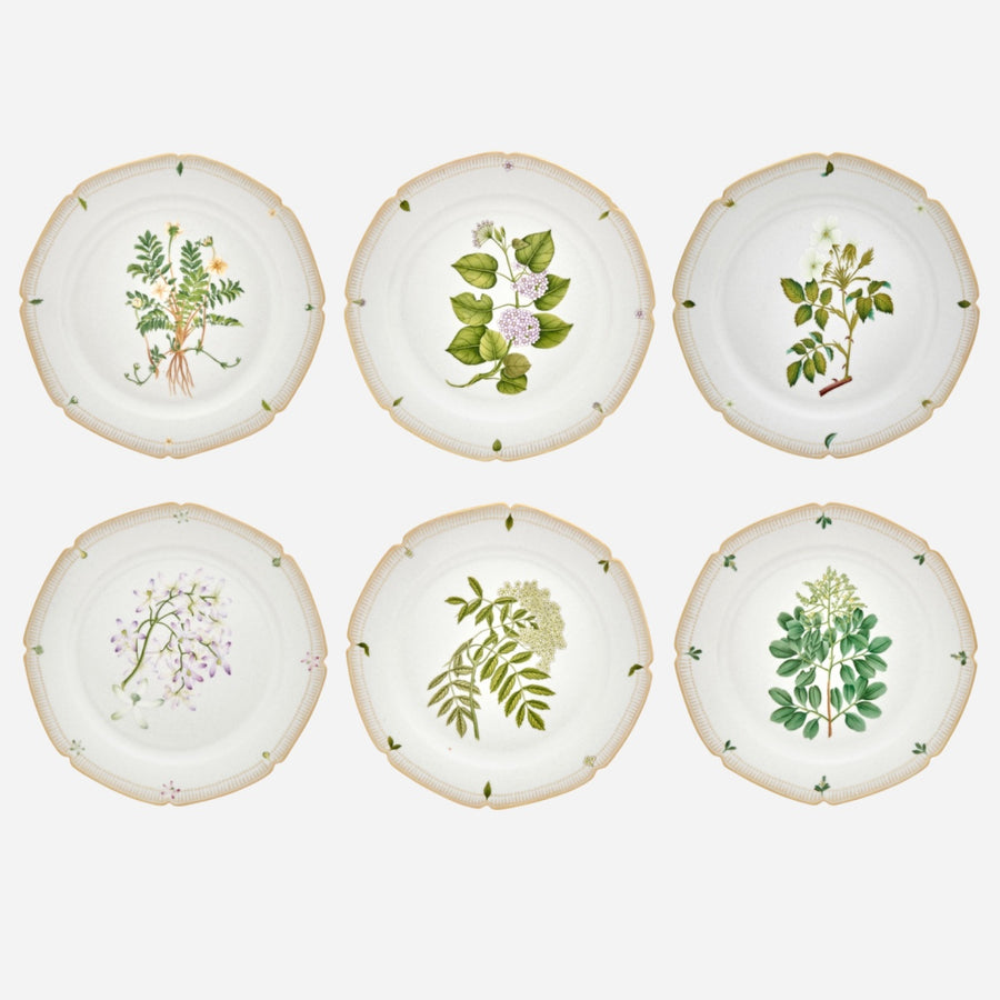 de Gournay Botanicals Dessert Plate - Set of 6