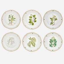 Load image into Gallery viewer, Botanicals Dessert Plate - Set of 6
