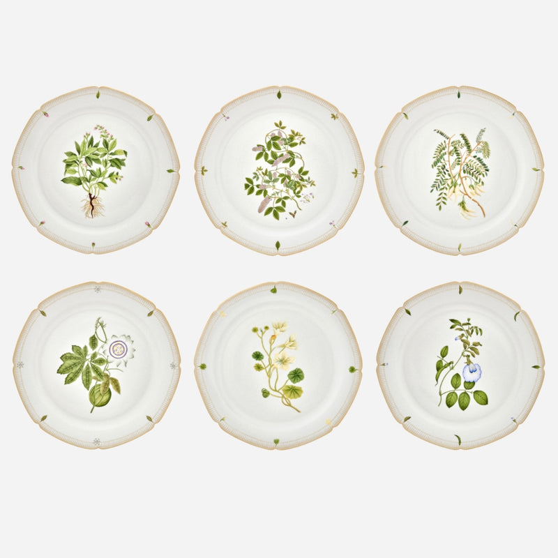 Botanicals Dinner Plate - Set of 6