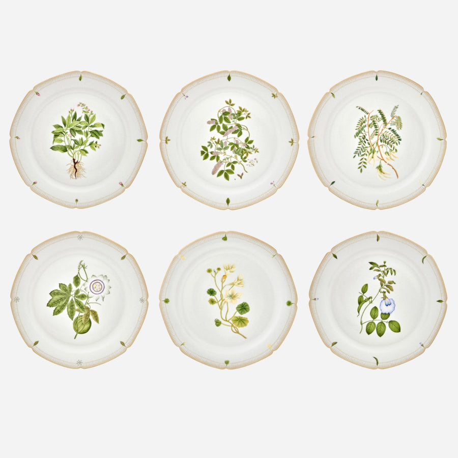 de Gournay Botanicals Dinner Plate - Set of 6