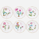 Divine Botanica Dinner Plate - Set of 6