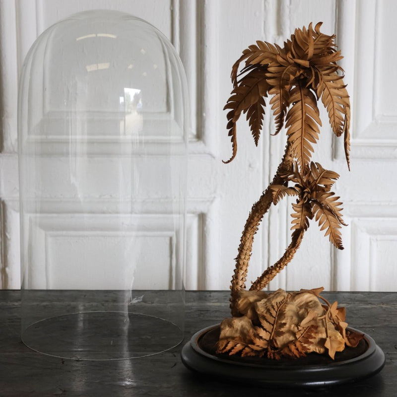 Edwardian Leather Palm Tree with Cloche