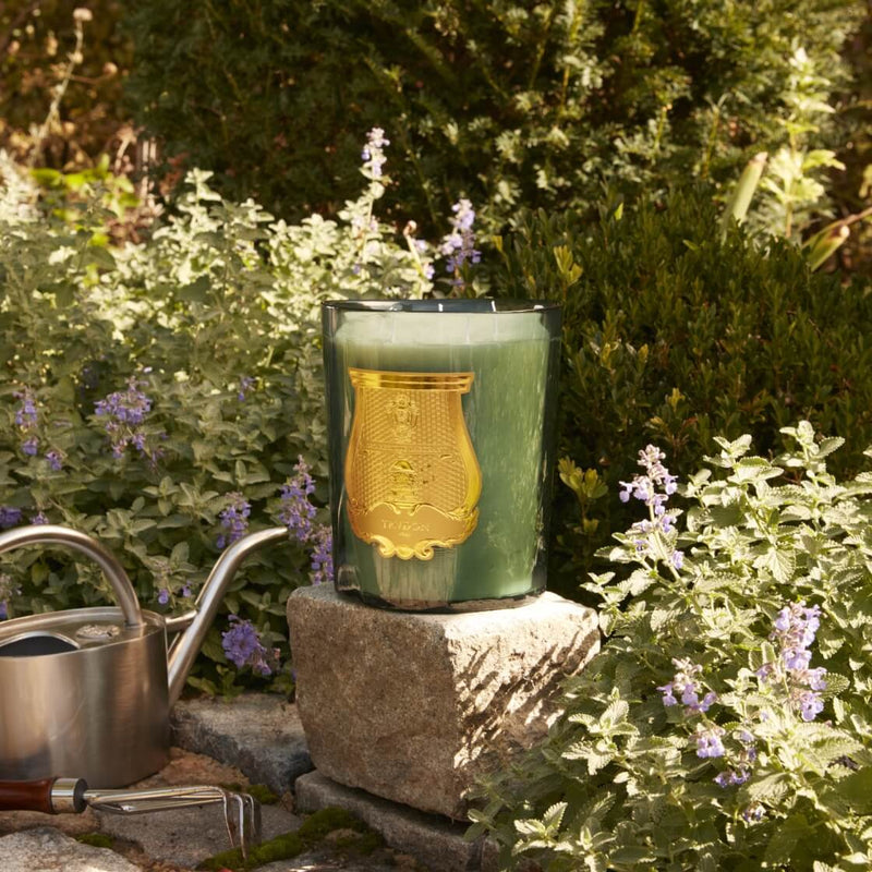 Figuerie Scented Candle 800g