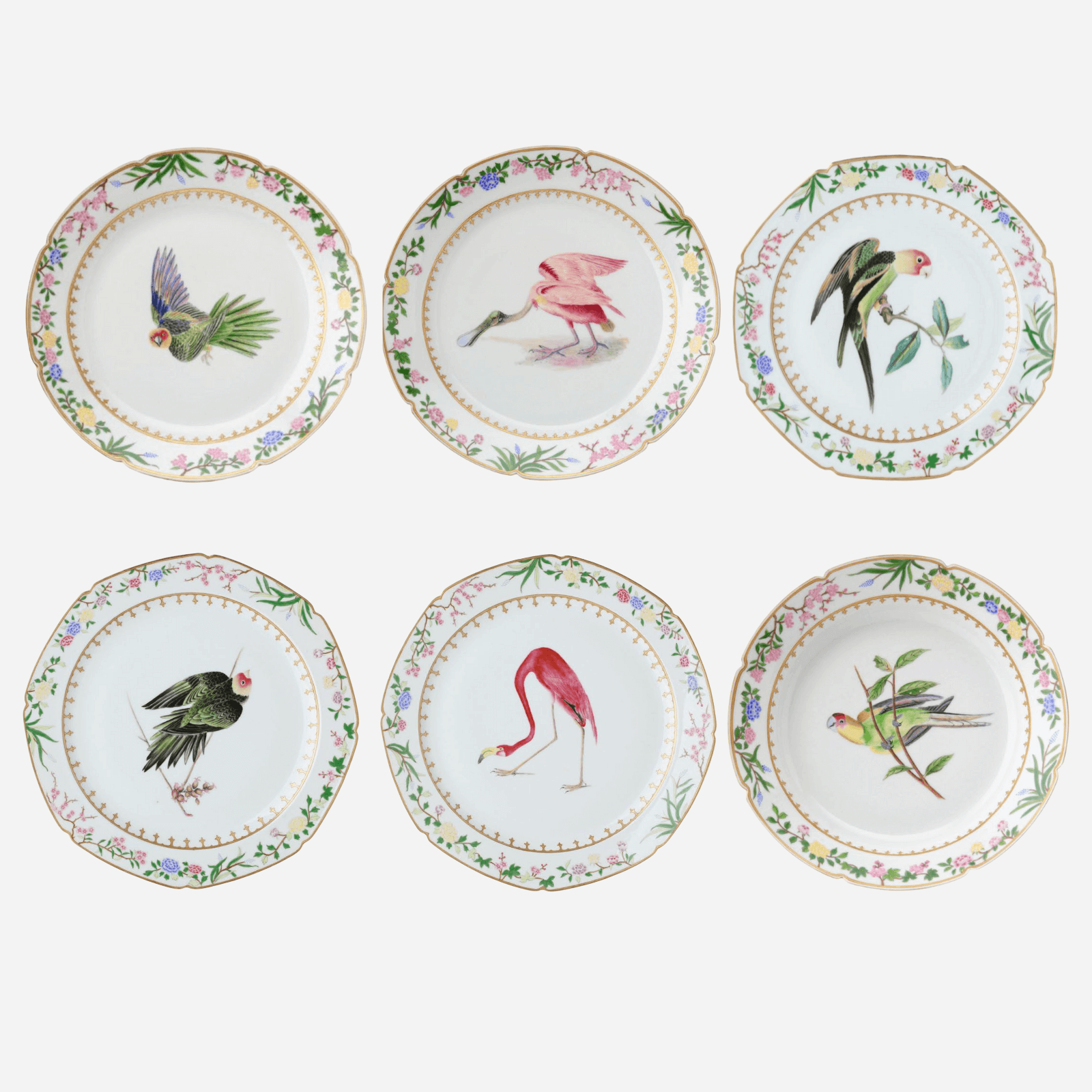 Flora Britannica Dinner Plate - Set of 6
