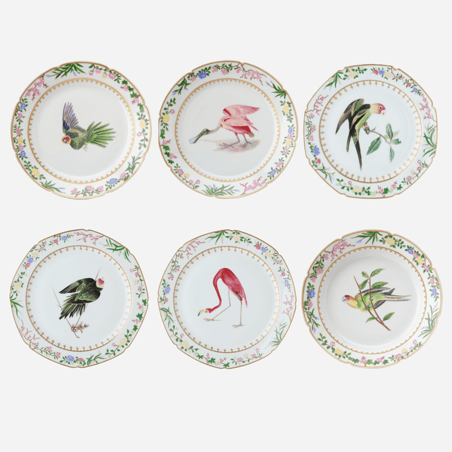 de Gournay Flora Britannica Dinner Plate - Set of 6