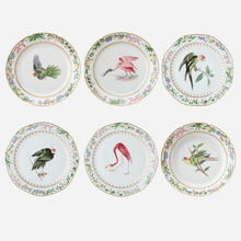 Load image into Gallery viewer, Flora Britannica Dinner Plate - Set of 6
