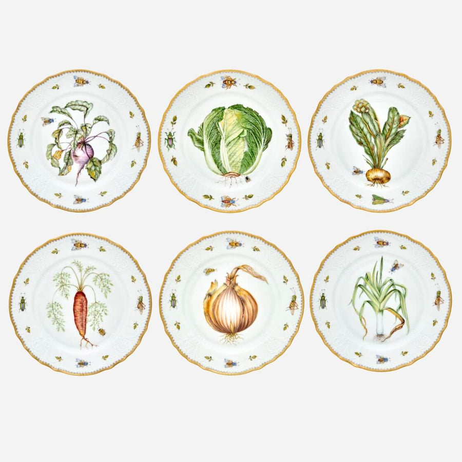 Anna Weatherley Garden Harvest Dinner Plate - Set of 6