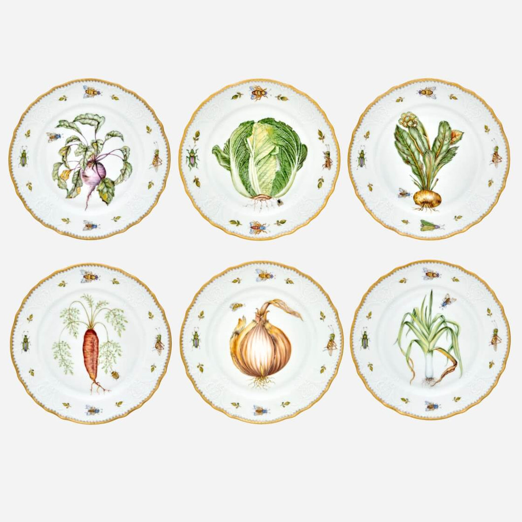 Garden Harvest Dinner Plate - Set of 6