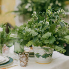 Vine Leaves Cachepot