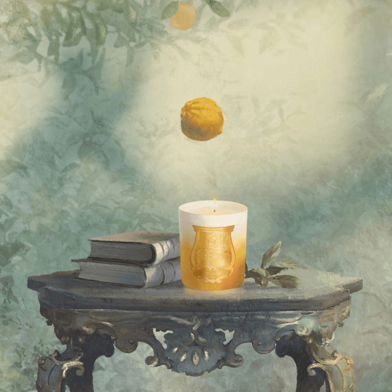 Isla de Oro Scented Candle