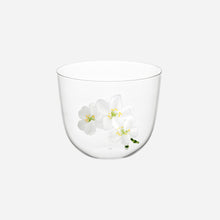 Jasmin Tumbler - Set of 4