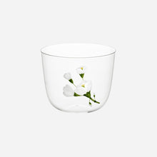 Jasmin Tumbler - Set of 4