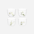 Jasmin Tumbler - Set of 4