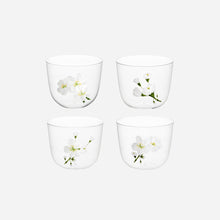 Jasmin Tumbler - Set of 4