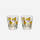 Jaipur Tumbler - Set of 2