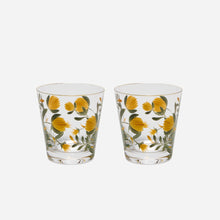 Jaipur Tumbler - Set of 2