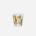 Jaipur Tumbler - Set of 2