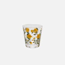 Jaipur Tumbler - Set of 2