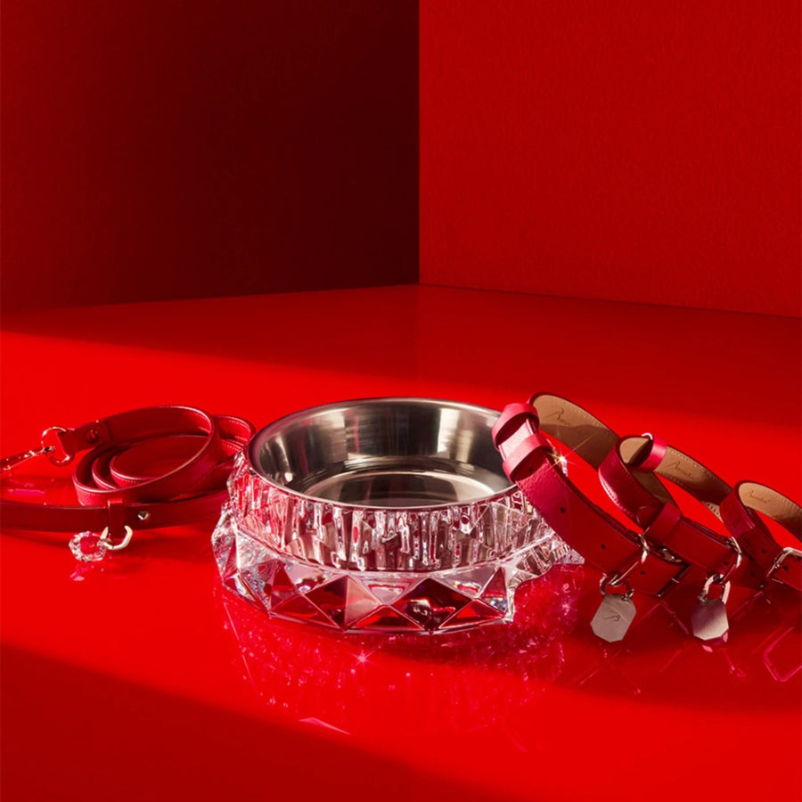 Baccarat Louxor Pet Bowl
