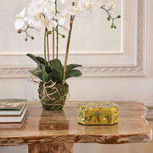 Menagerie Octagonal Marquetry Box