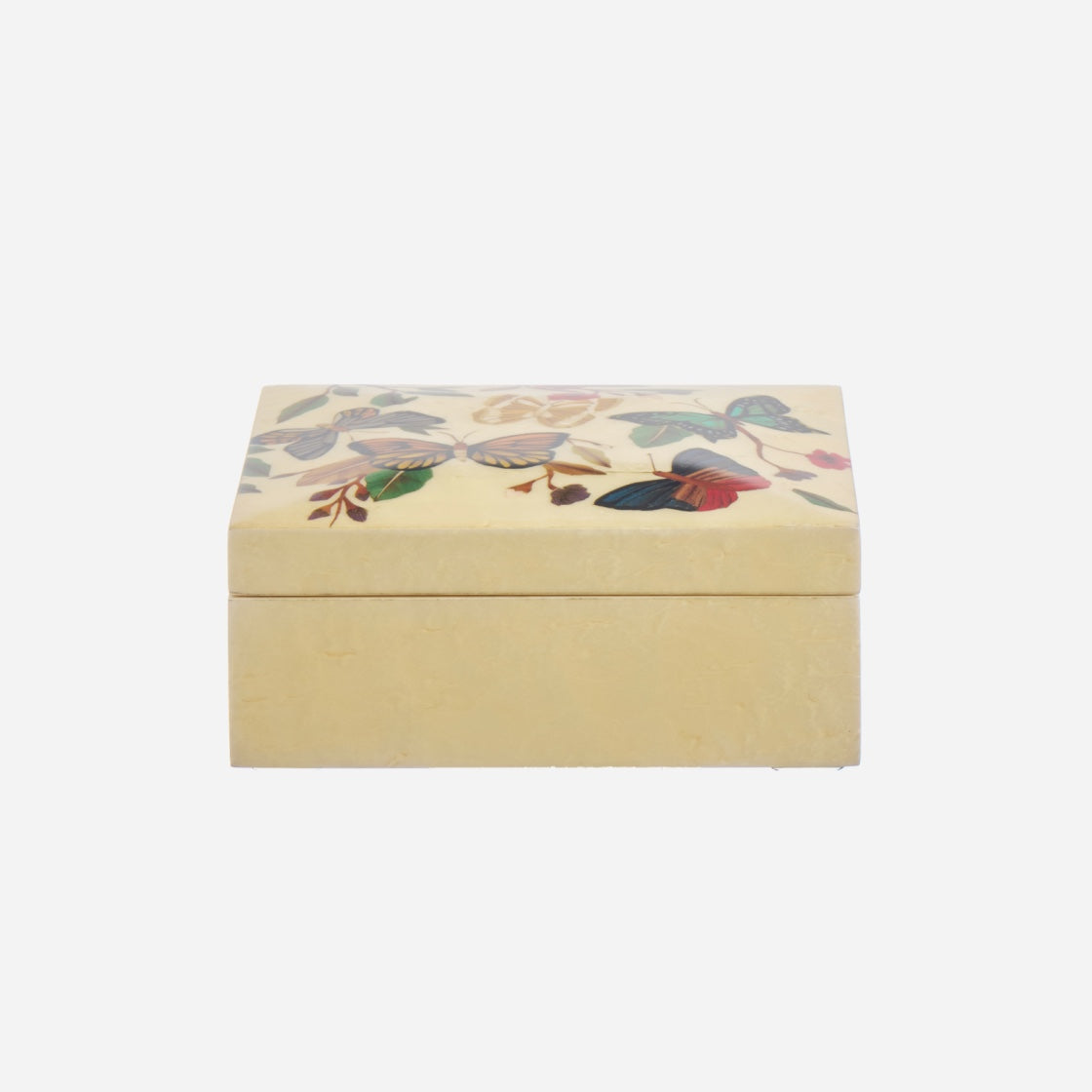 Metamorphosis Marquetry Box