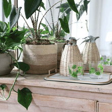 Monstera Tumbler