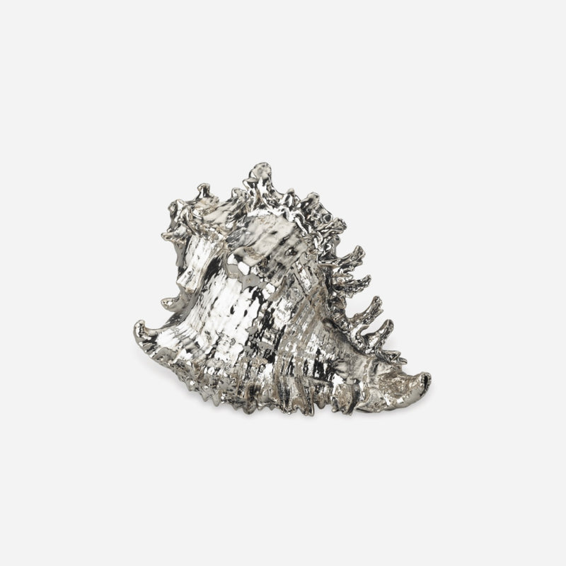 Murex Ramosus Silver Shell