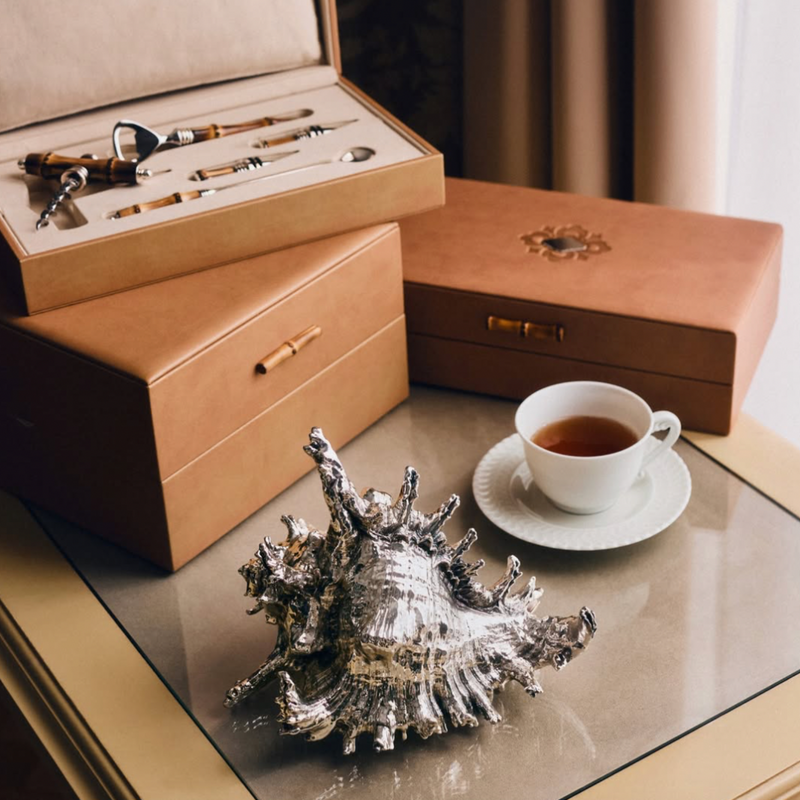 Murex Ramosus Silver Shell