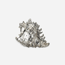 Load image into Gallery viewer, Murex Ramosus Silver Shell
