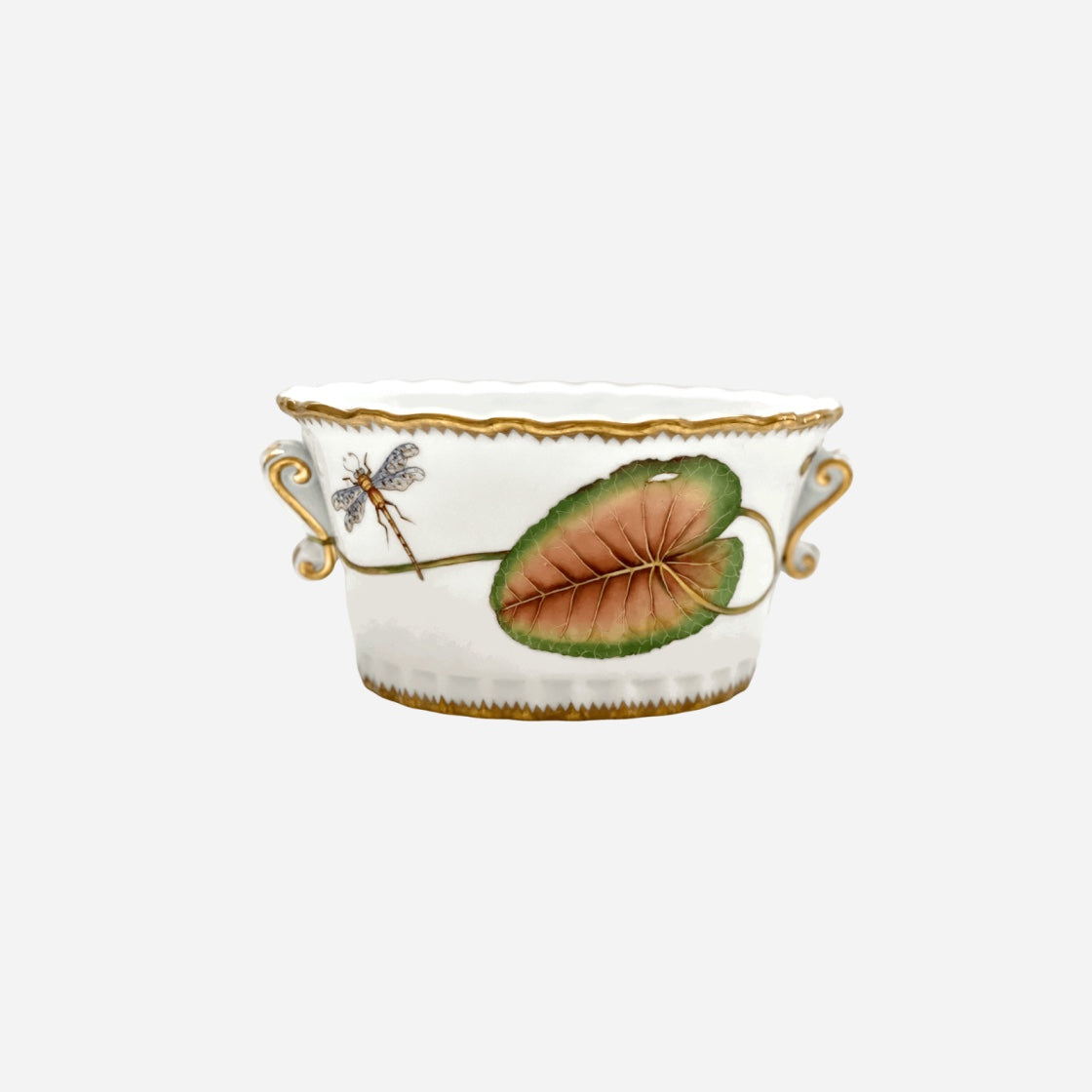 Nymphéa Cachepot