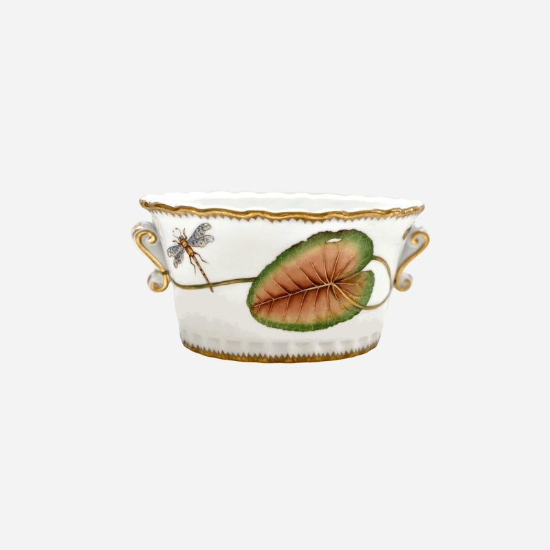 Nymphéa Cachepot