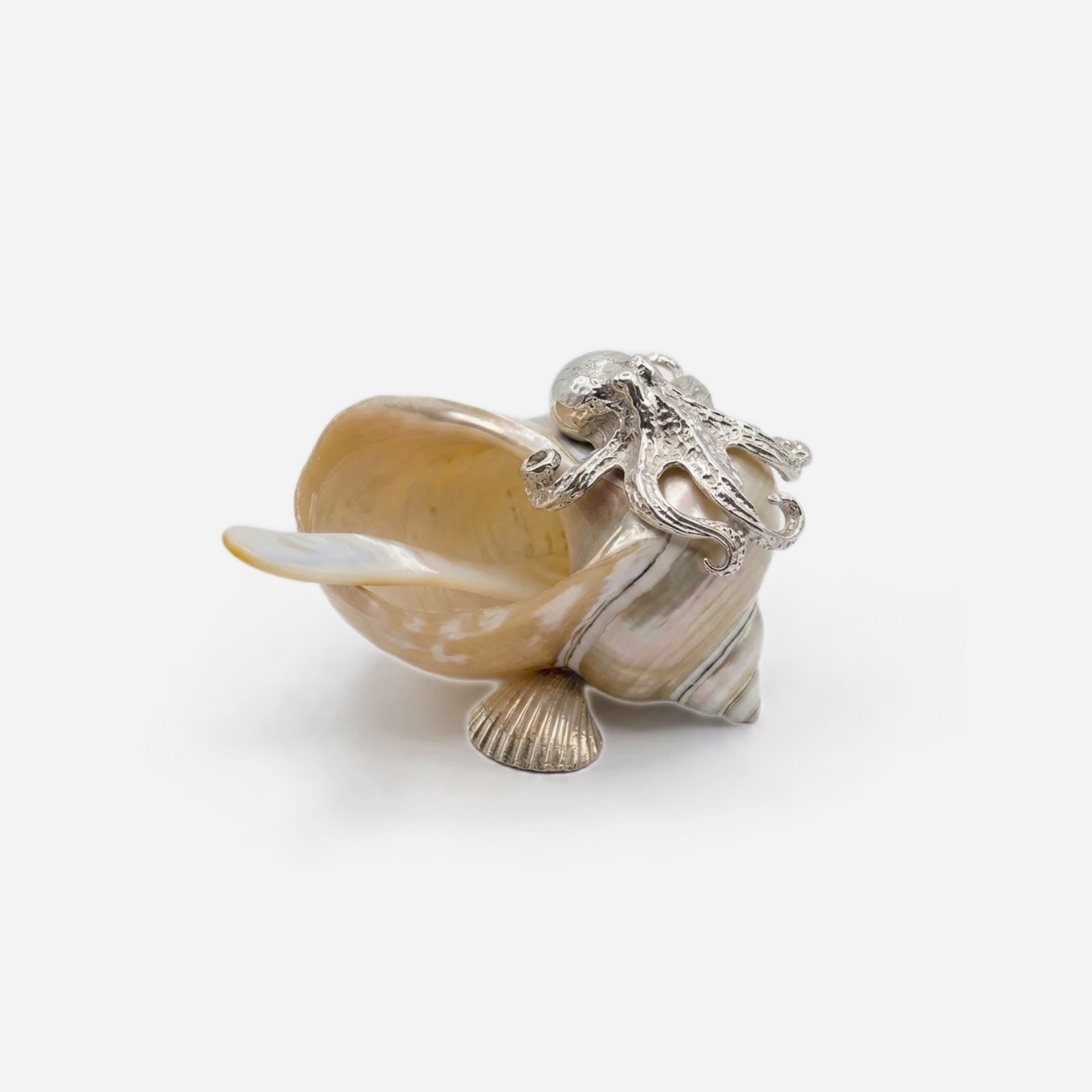 Shell & Silver Octopus Cellar with Spoon Pearlescent