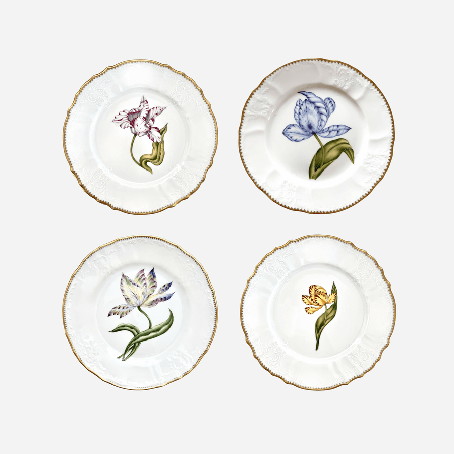 Anna Weatherley Old Master Tulips Dinner Plate - Set of 4
