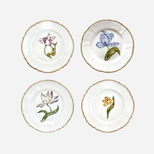 Load image into Gallery viewer, Old Master Tulips Dinner Plate - Set of 4
