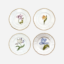 Load image into Gallery viewer, Old Master Tulips Dessert Plate - Set of 4
