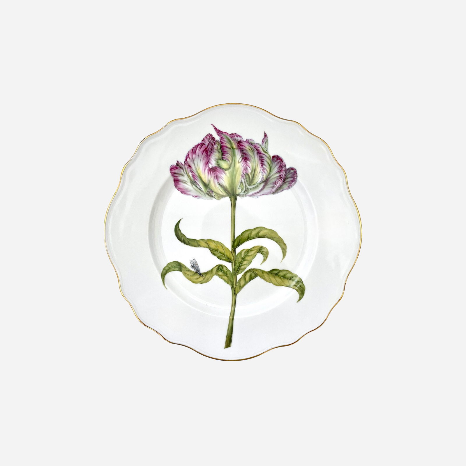 Parrot Tulip Dinner Plate