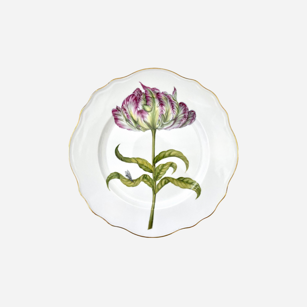 Parrot Tulip Dinner Plate