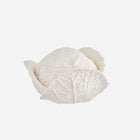 Porcelain Cabbage - Medium