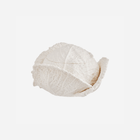 Porcelain Cabbage - Medium