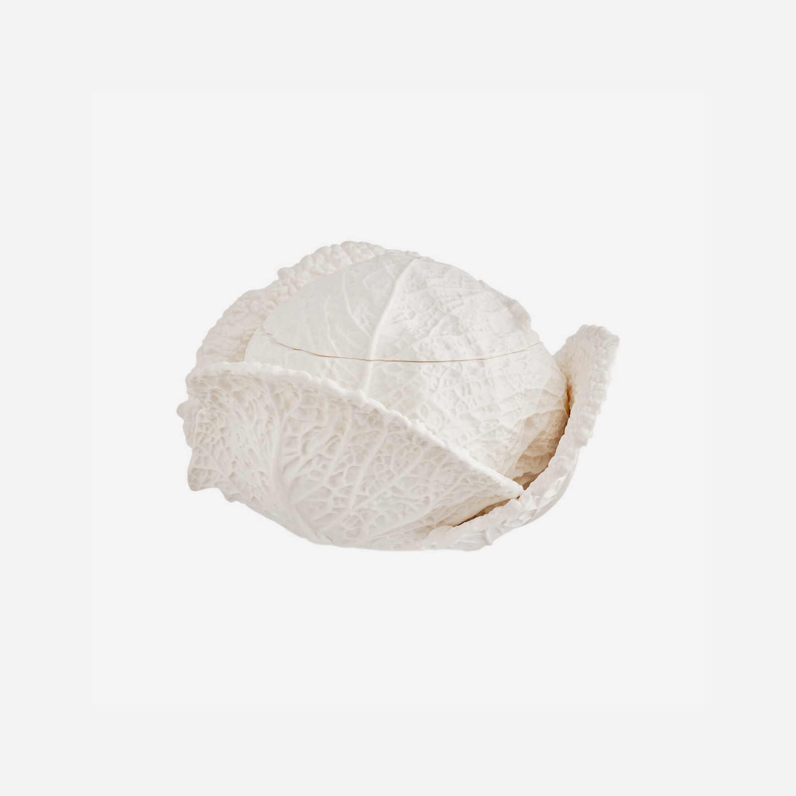 Porcelain Cabbage - Medium